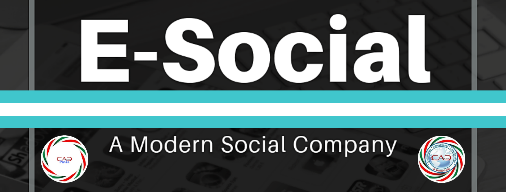 Non-Profit
